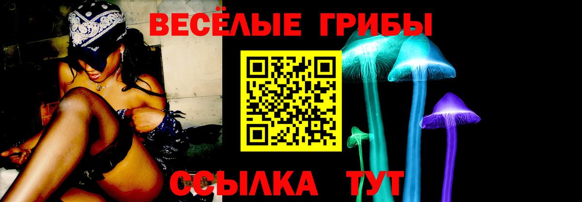 Псилоцибиновые грибы Psilocybe Соликамск